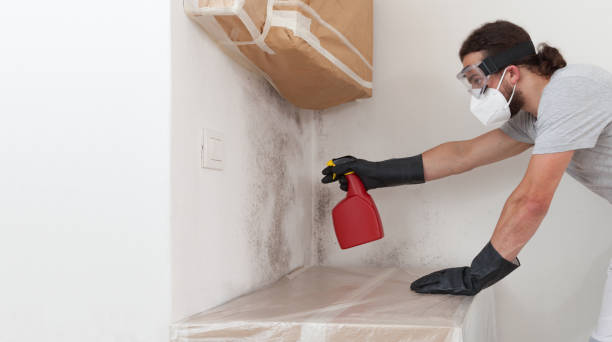 Professional Mold Testing technician working in Northvale, NJ